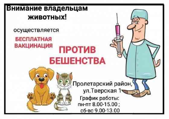 Государственная ветеринарная клиника Пролетарского района г Донецка Донецк