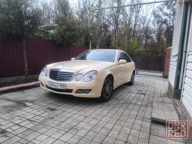 Продам живой 211 Волноваха - изображение 1