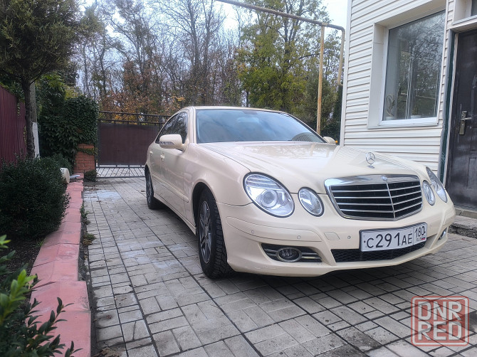 Продам живой 211 Волноваха - изображение 2