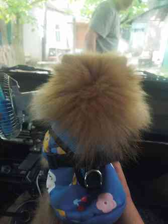 Подросшие щенки шпиц . Макеевка