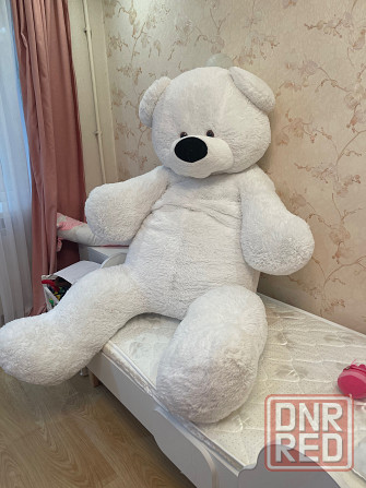 Медведь 180 Донецк - изображение 1