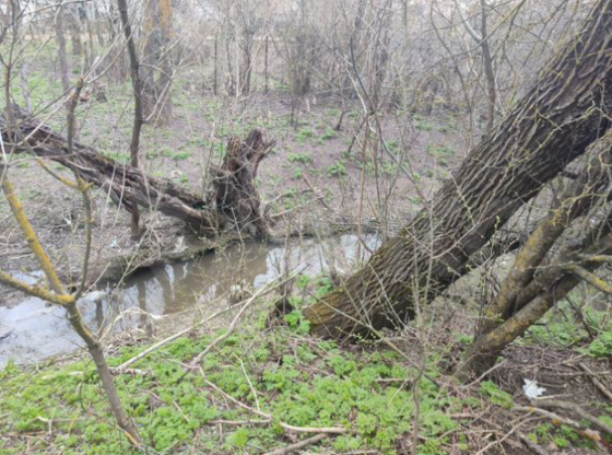 Участок 6 сот. (ижс) Анапа