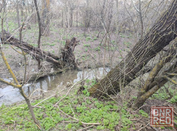 Участок 6 сот. (ижс) Анапа - изображение 2