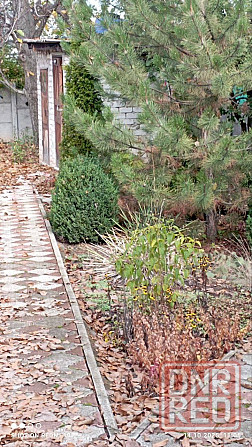 Продам дачу в живописном месте в Зуевке Зуевка - изображение 12