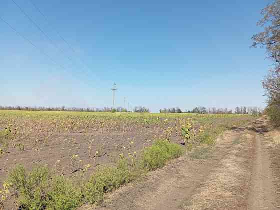 Продам землю Старобешево