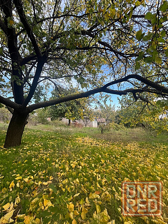 Райский уголок для Вас! Мариуполь - изображение 8