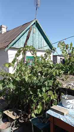 Продам дом,пос.Гуглино.Ильичевский р-н Мариуполь