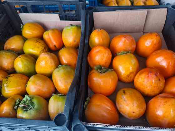 Хурма бычье сердце крупная из Сочи Торез