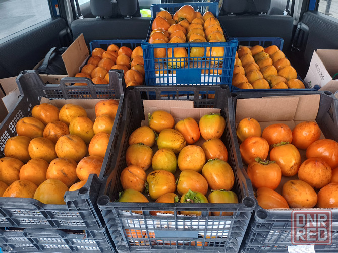 Хурма бычье сердце крупная из Сочи Торез - изображение 3