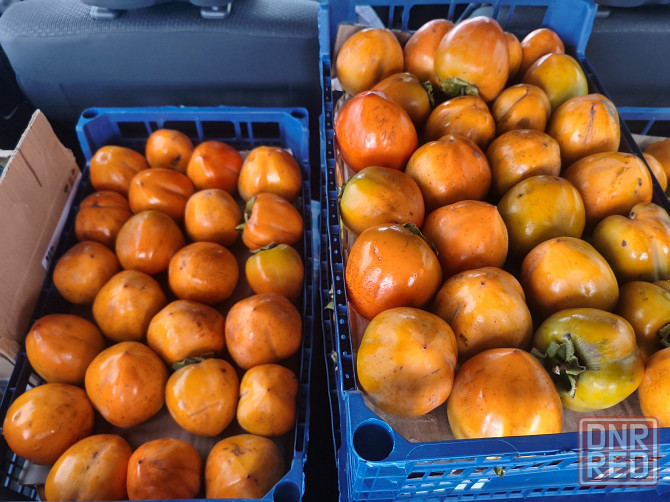 Хурма бычье сердце крупная из Сочи Торез - изображение 1