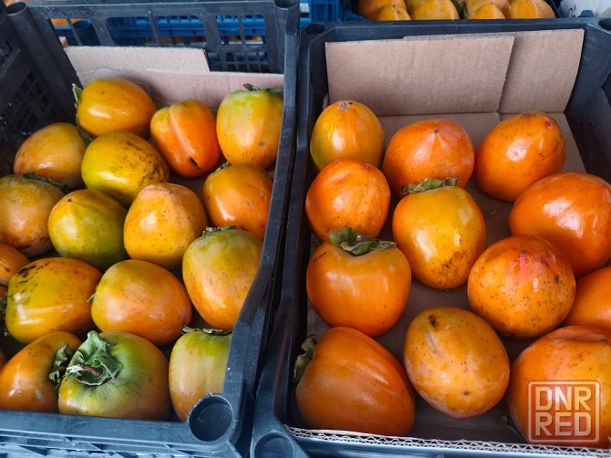 Хурма бычье сердце крупная из Сочи Торез - изображение 2