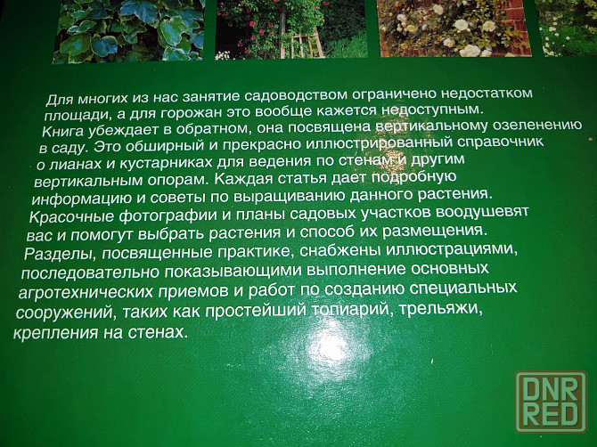 Вьющиеся садовые растения , справочник альбомного формата . Макеевка - изображение 4