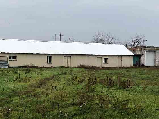 Продаётся агропредприятие по выращиванию малины и клубники, Старобешевский р-н. Старобешево