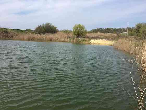 Продаётся агропредприятие по выращиванию малины и клубники, Старобешевский р-н. Старобешево