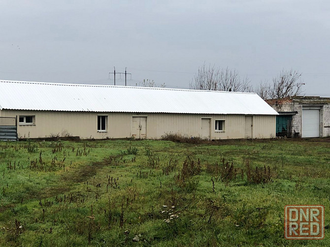 Продаётся агропредприятие по выращиванию малины и клубники, Старобешевский р-н. Старобешево - изображение 2