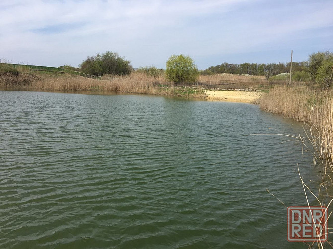 Продаётся агропредприятие по выращиванию малины и клубники, Старобешевский р-н. Старобешево - изображение 6