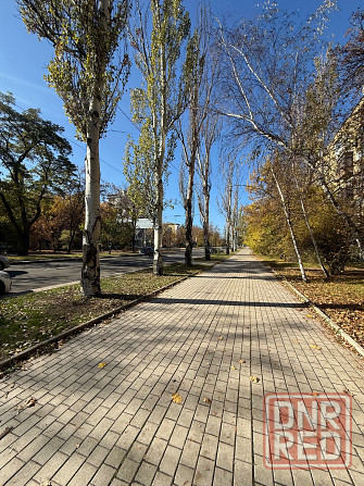 Аренда Коммерческой Недвижимости - 274 квадратных в Центре Ворошиловского Района - Бул.Шевченко . Донецк - изображение 2