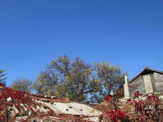 Дерево на дрова Донецк