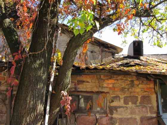 Дерево на дрова Донецк