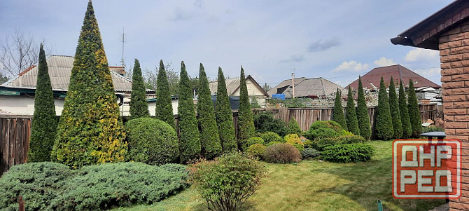 Стрижка туй. Донецк - изображение 2