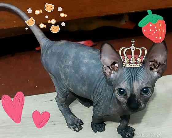 Милая девочка Донецк