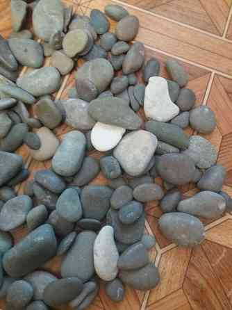 Продам камни камушки гальку для аквариума террариума Донецк
