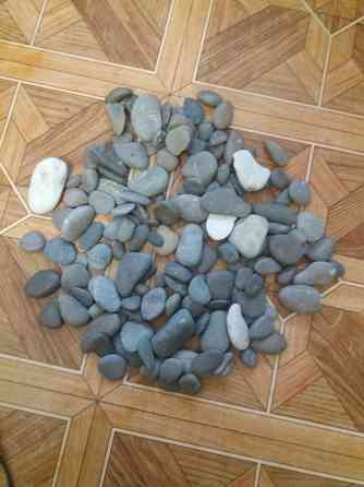 Продам камни камушки гальку для аквариума террариума Донецк