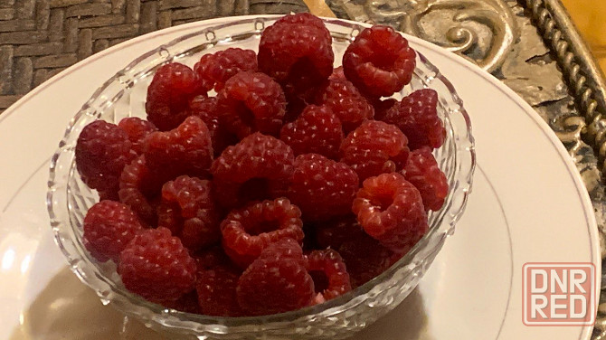 Клубника саженцы Донецк - изображение 2