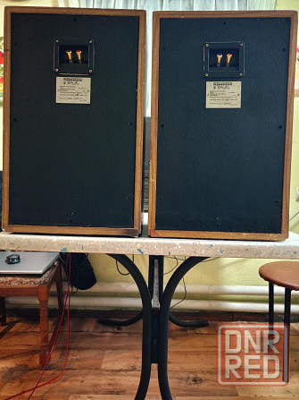 Аккустика Романтика 25АС121 Донецк - изображение 2