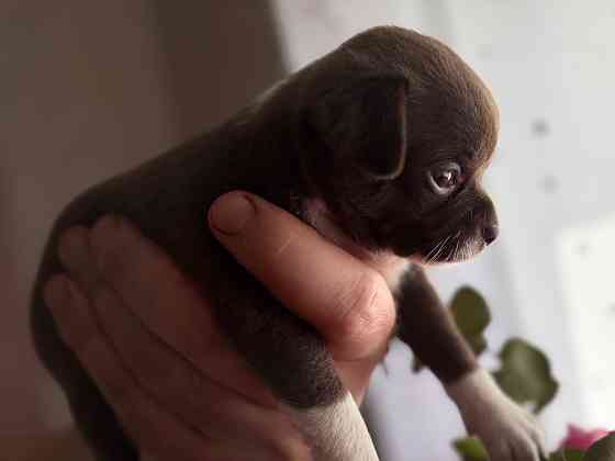 Доступны для бронирования Донецк