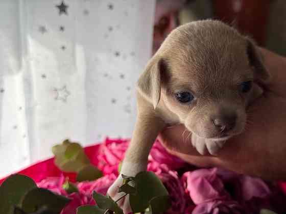 Доступны для бронирования Донецк