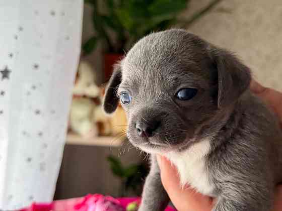 Доступны для бронирования Донецк