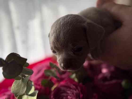 Доступны для бронирования Донецк