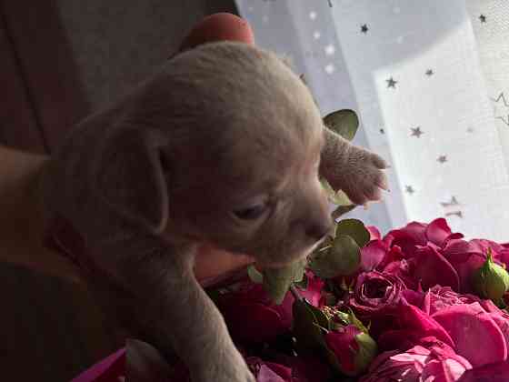 Доступны для бронирования Донецк