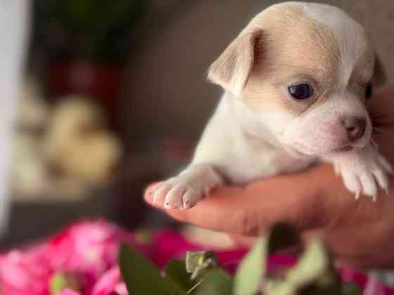 Доступны для бронирования Донецк