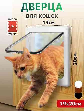 Дверца для кошки (для животных) 19х20 см Донецк