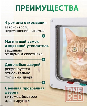 Дверца для кошки (для животных) 19х20 см Донецк - изображение 2