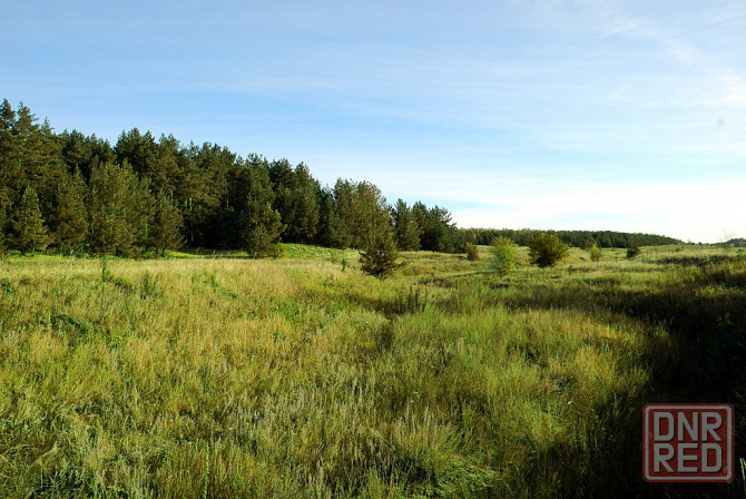 Земля жс в лесу у реки дон под строительство коттеджного поселка и базы отдыха Липецк - изображение 8