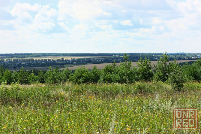 Земля жс в лесу у реки дон под строительство коттеджного поселка и базы отдыха Липецк - изображение 3