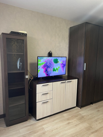 Сдам однокомнатную квартиру в Киевском районе, Ветка Донецк