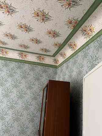 Дом в г. Амвросиевка на два хозяина с гаражом. Амвросиевка