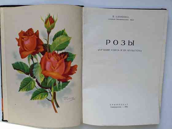Розы 1962 год Донецк