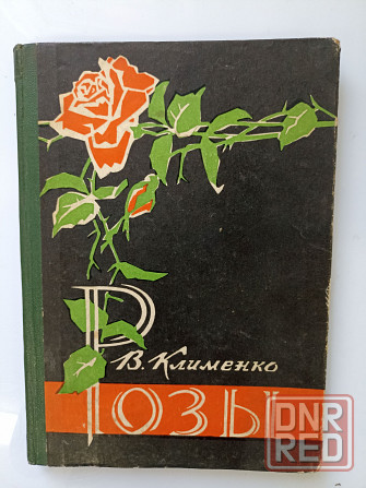 Розы 1962 год Донецк - изображение 1