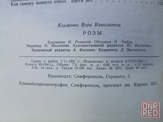 Розы 1962 год Донецк - изображение 5