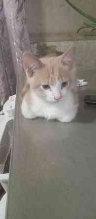 Ищем дом Донецк