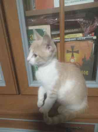 Ищем дом Донецк