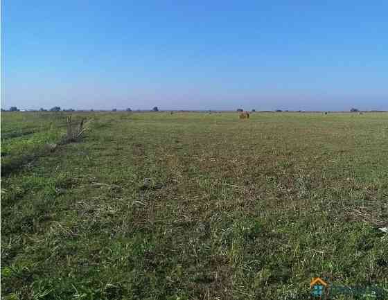 Продам землю с/х назначения Докучаевск