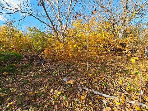 Продается дачный участок Мариуполь