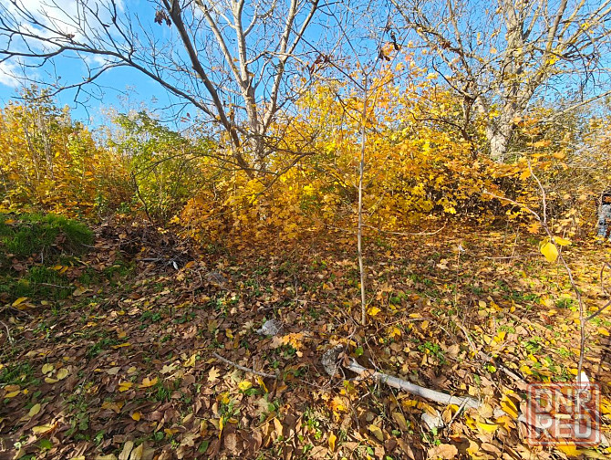 Продается дачный участок Мариуполь - изображение 3