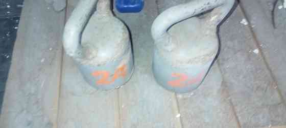 набор гирь 2 штуки по 24 кг Донецк